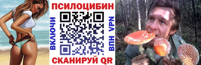 где продают наркотики  Кологрив  Псилоцибиновые грибы GOLDEN TEACHER 